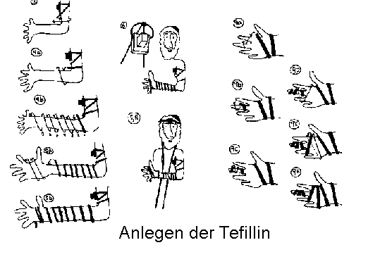 The Tefillin